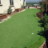 Artificial Turf Cost Miltonvale, Kansas Putting Green, Backyard Landscaping