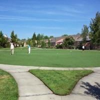 Grass Carpet Alexander, Kansas Lawn And Garden, Commercial Landscape