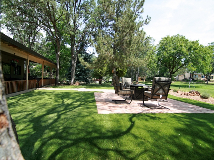 Artificial Grass Carpet Willowbrook, Kansas City Landscape, Backyard Makeover