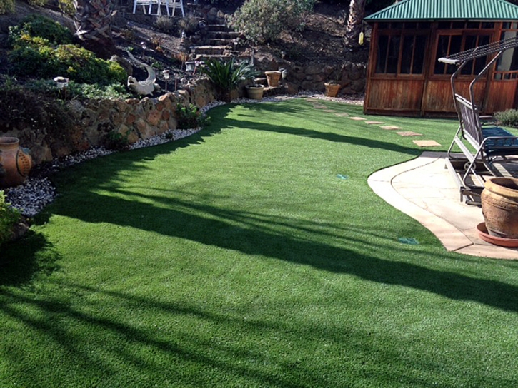 Artificial Lawn Climax, Kansas Gardeners, Backyard Landscape Ideas