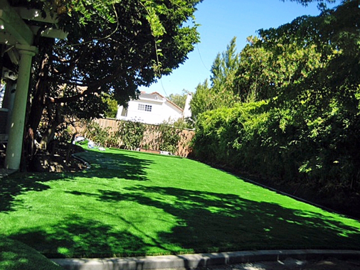 Artificial Turf Inman, Kansas Garden Ideas, Backyards