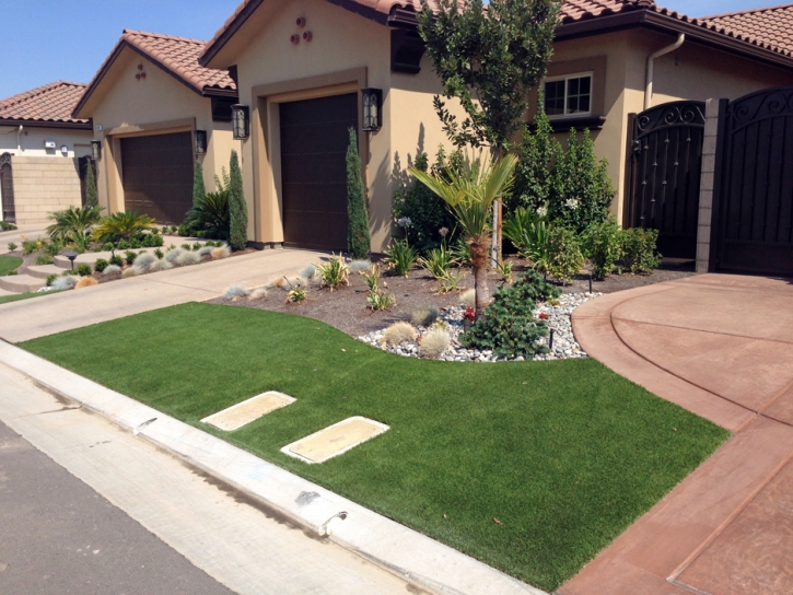 Fake Grass Carpet Madison, Kansas Home And Garden, Front Yard Landscaping Ideas