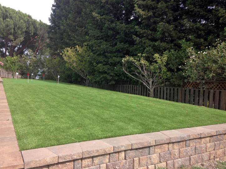 Fake Grass Carpet Mankato, Kansas Indoor Putting Greens, Backyard Ideas