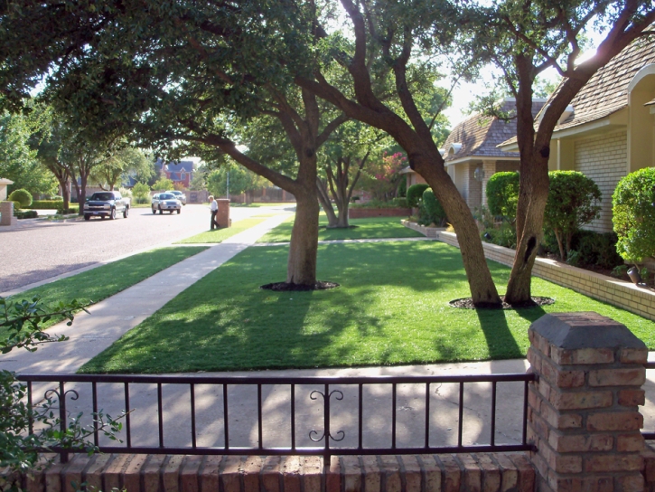 Synthetic Lawn Colony, Kansas City Landscape, Front Yard Landscape Ideas