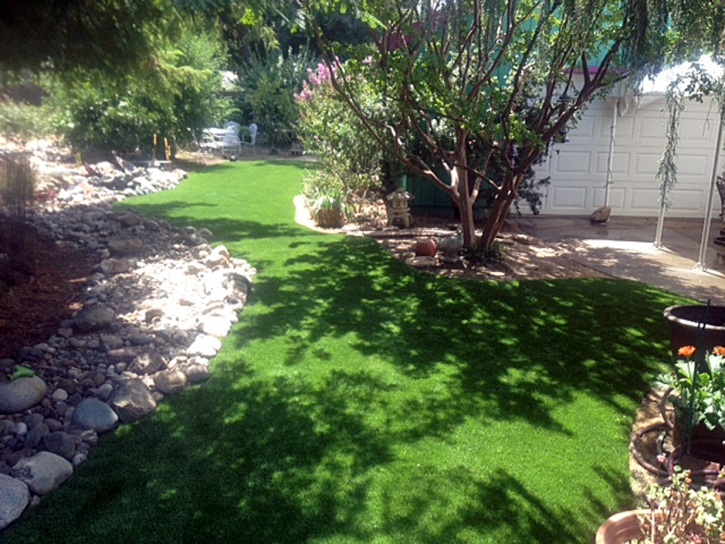 Synthetic Lawn Fairview, Kansas Design Ideas, Backyard Designs