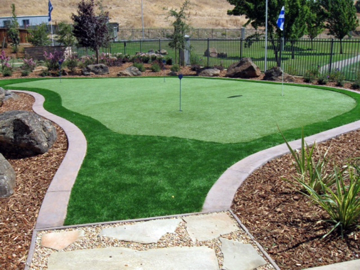 Synthetic Turf Beloit, Kansas Artificial Putting Greens, Backyard Landscaping