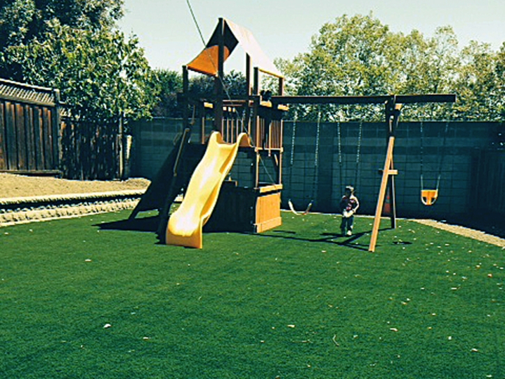 Turf Grass La Crosse, Kansas City Landscape, Backyard Garden Ideas